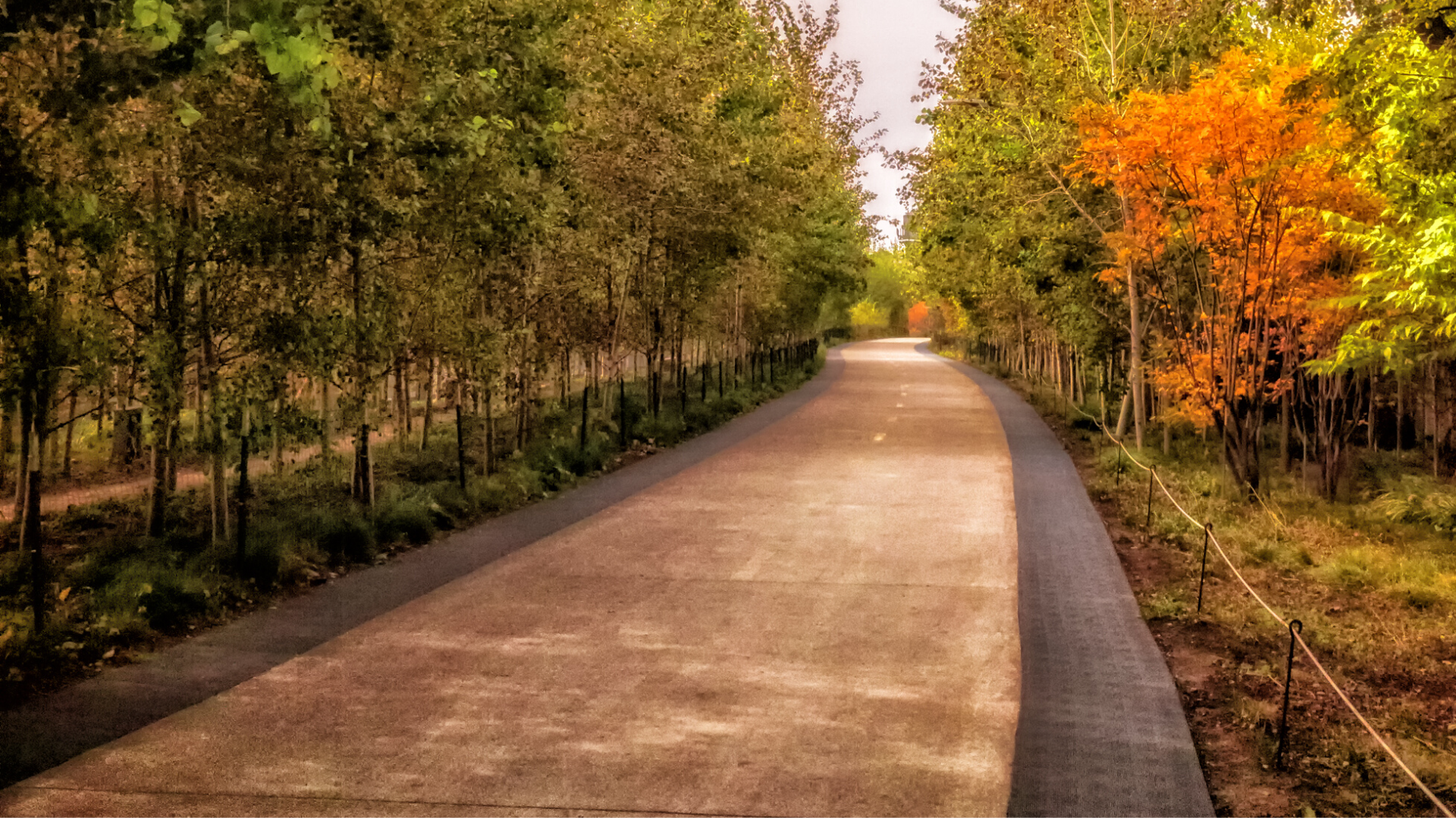 The Complete Guide to Living In Bloomingdale, IL AnyCurb