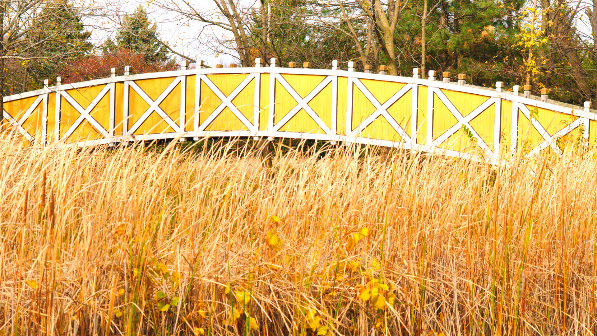 The Complete Guide to Living In Warrenville, IL AnyCurb